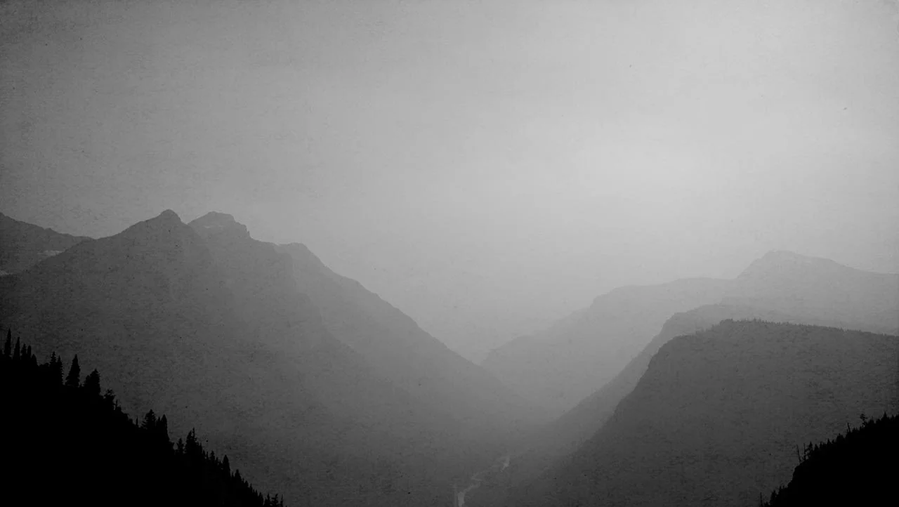 DSC_6784.jpg