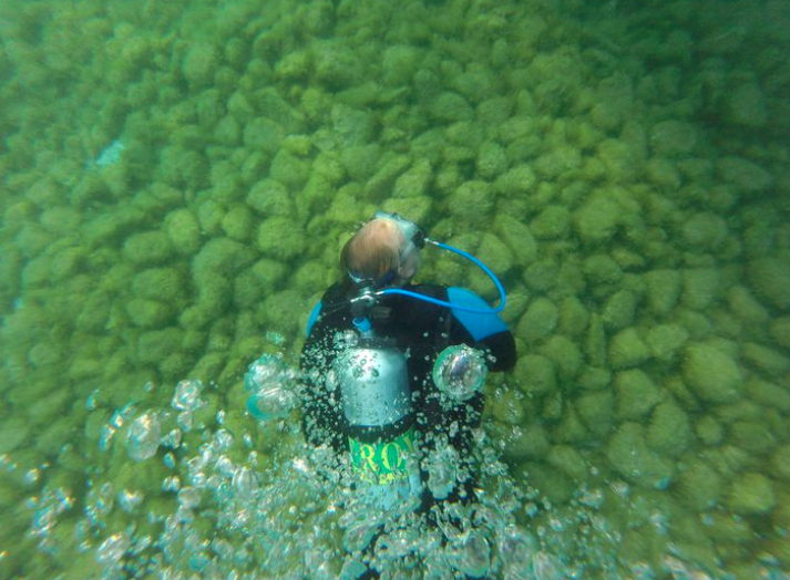 Fighting back Lake Michigan's trillions of mussels