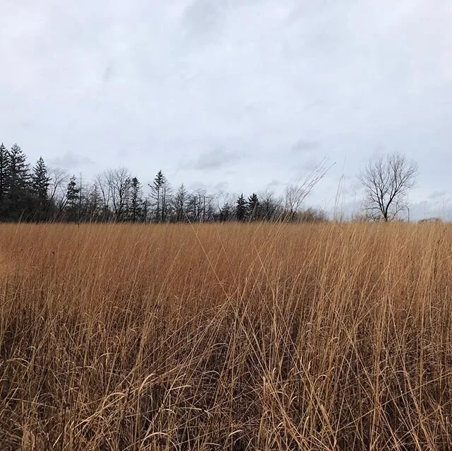 love this place