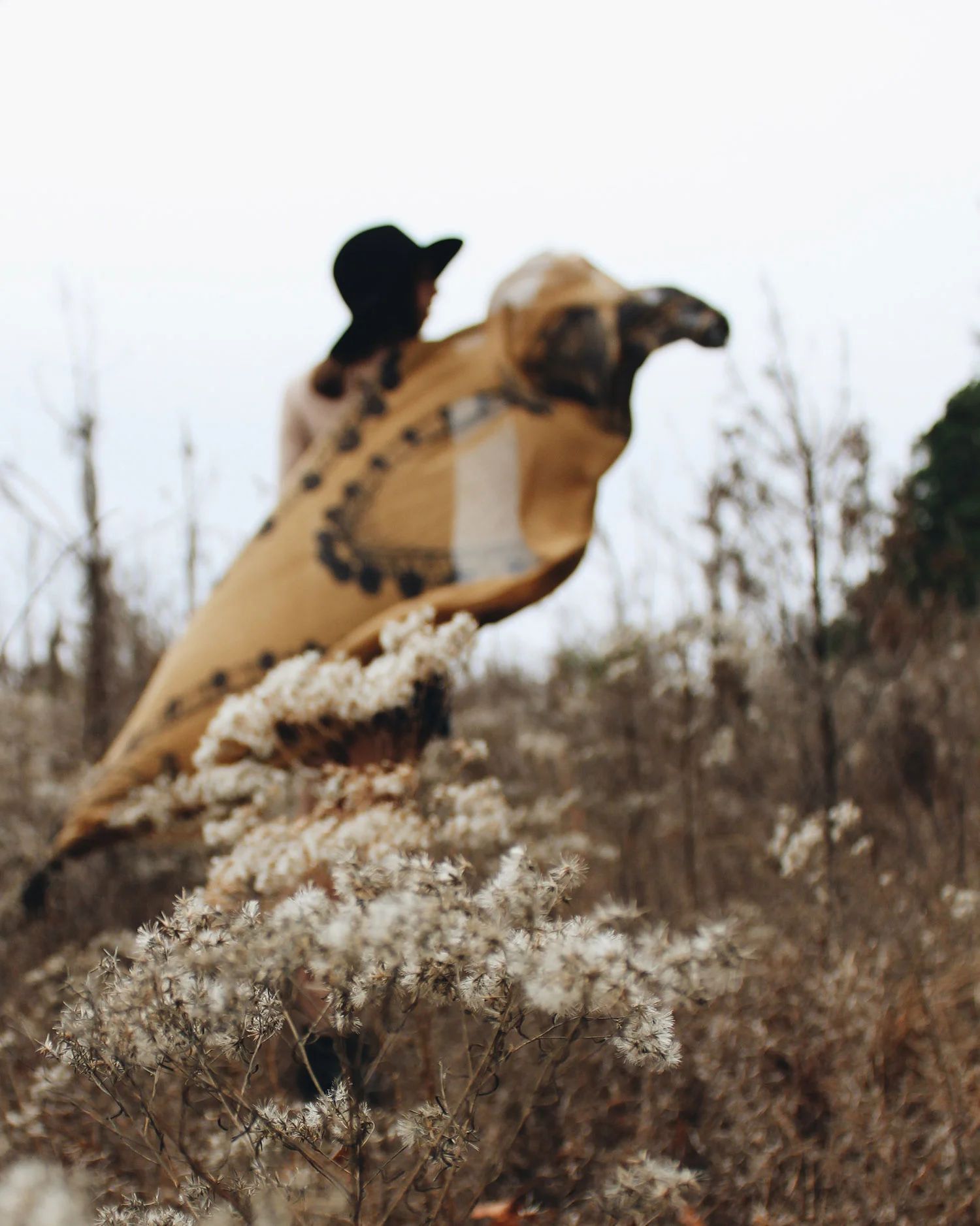 From What I Remember // Reconstructing A Landscape