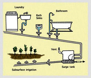 GOGREYWATER System.jpg