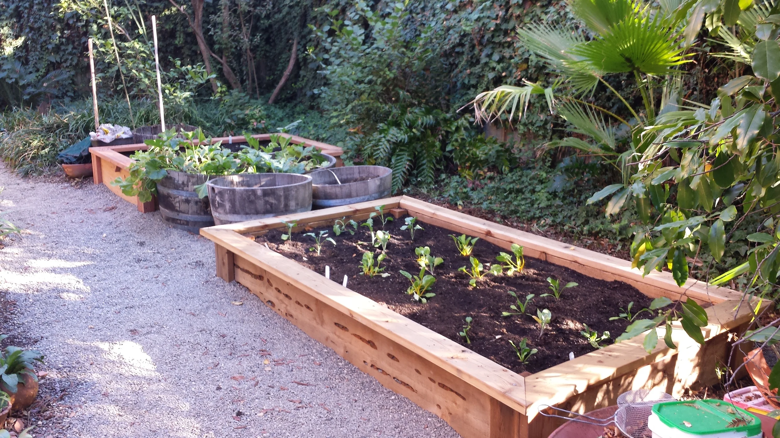 Raised Bed Gardens Organic Soil