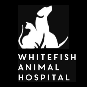 Whitefish Animal Hospital