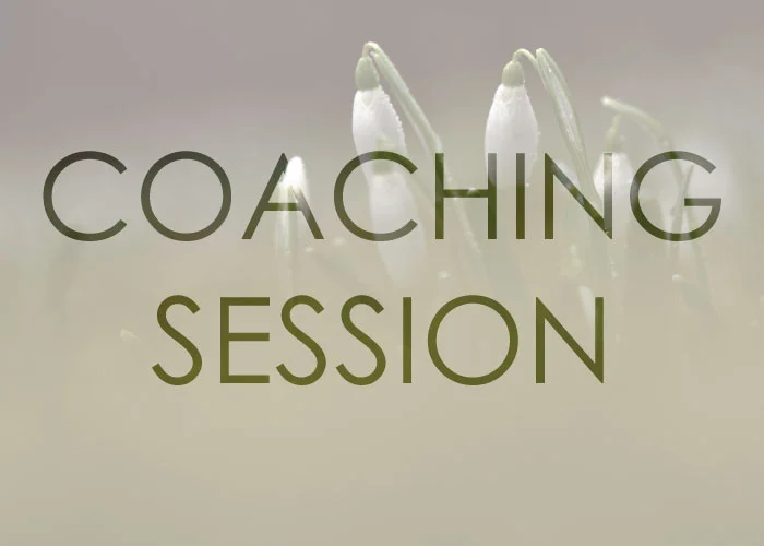 Coaching-session.jpg