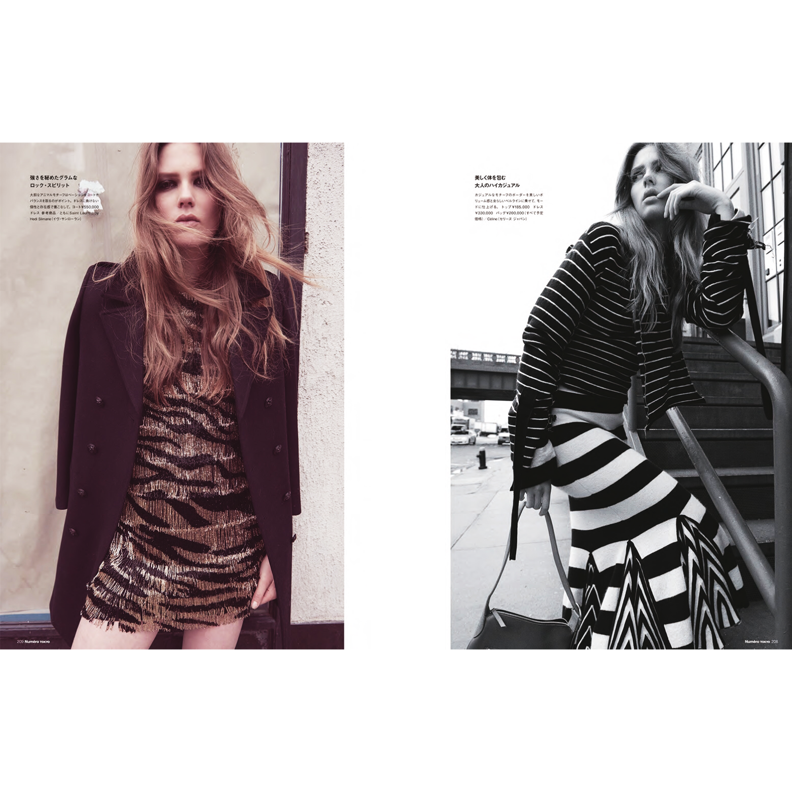 Saint Laurent and Celine .PNG