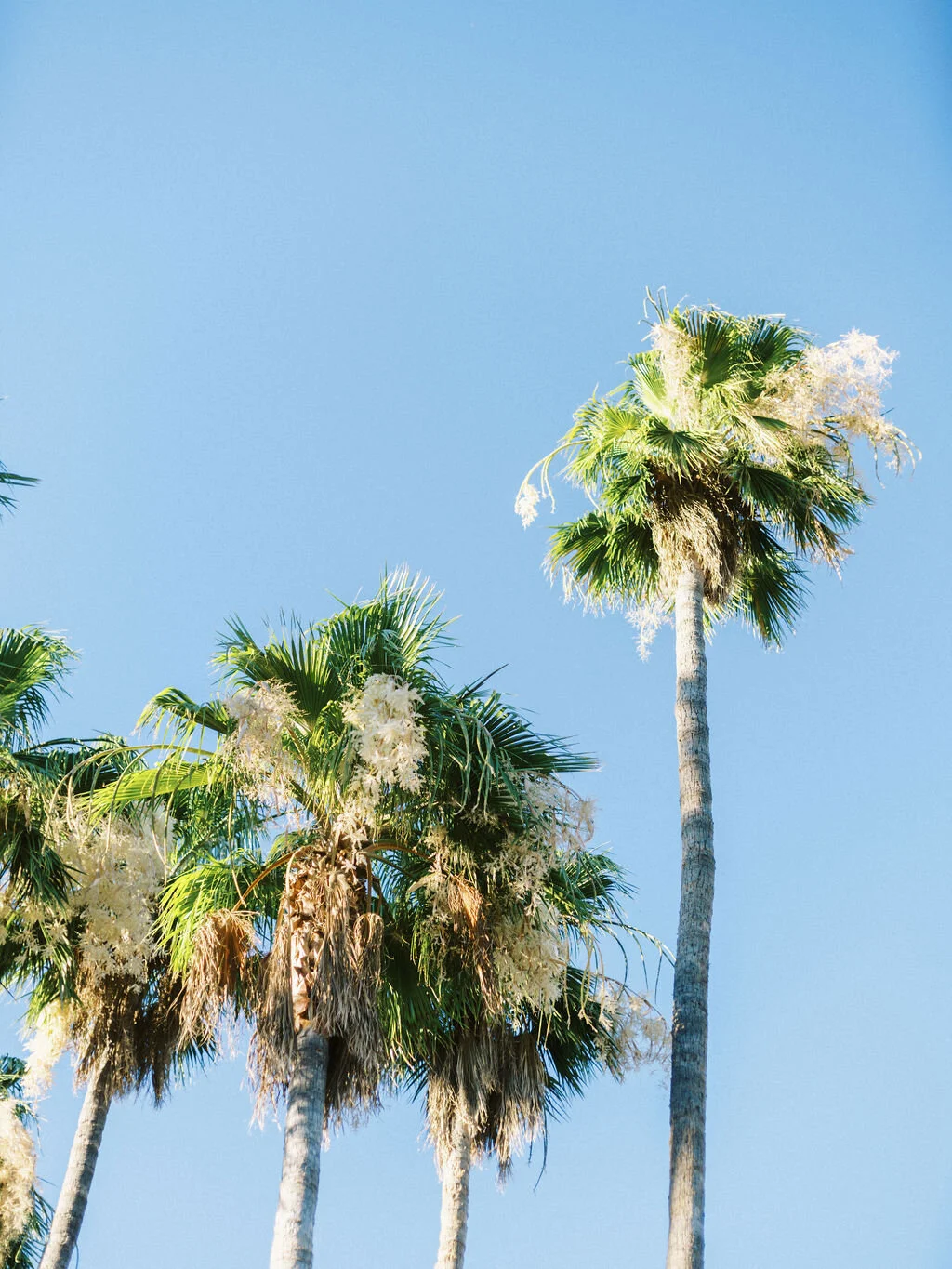 The Ultimate Girl's Weekend/ Bachelorette Party at Andaz Scottsdale - Konsider It Done - Arizona - AZ Arizona Wedding & Event Planner, Designer, Coordinator Planning in Scottsdale, Phoenix, Paradise Valley, Tempe, Gilbert, Mesa, Chandler, Tucson, Se…