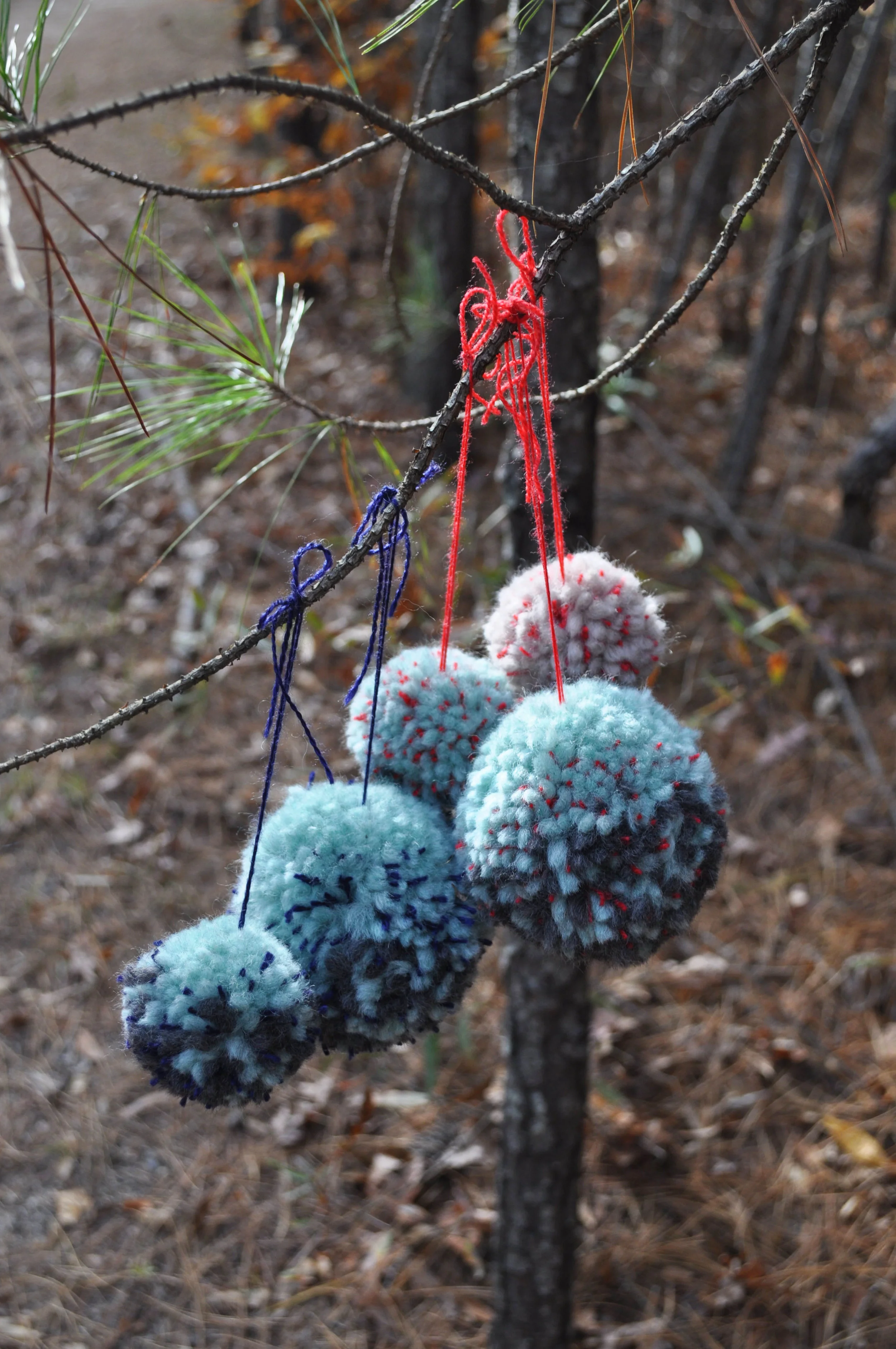 HolidayPomPoms2016.jpg