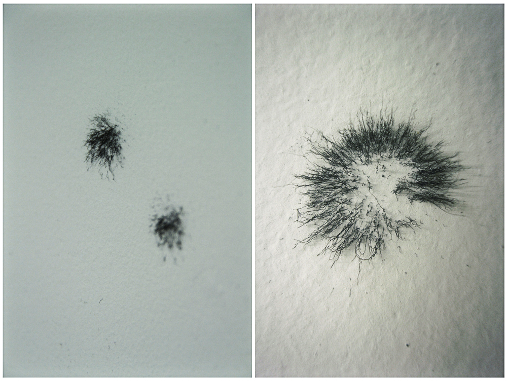 Latent Drawing (details)