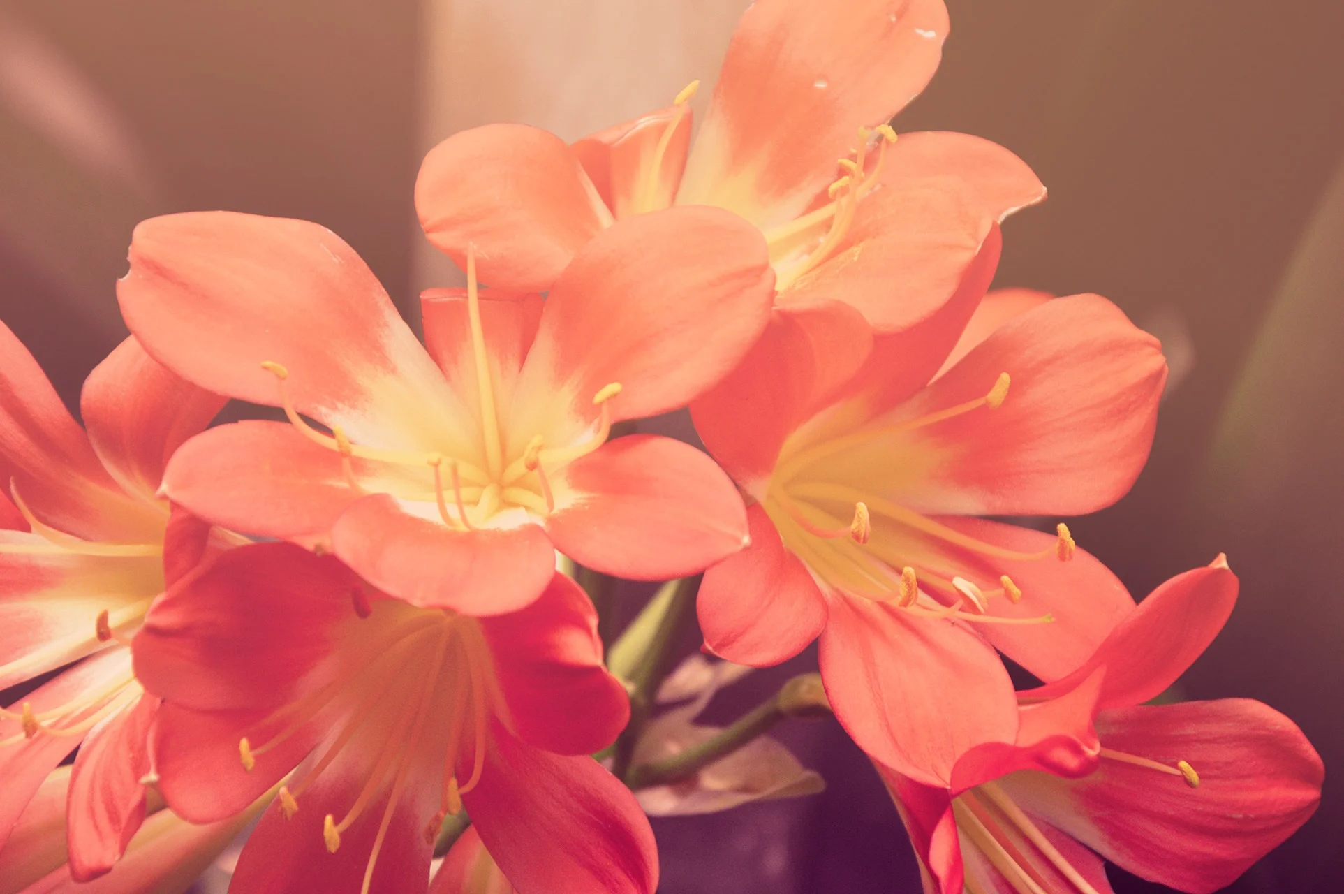 Welcome to Ma Zen Space - Therapy and Counseling for Women in Philadelphia and Narberth Pennsylvania