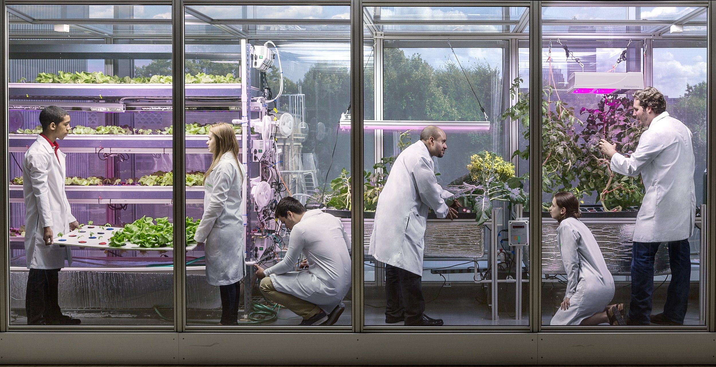 Scientist Caleb Harper photograhed at CityFARM at the MIT Media Lab (credit: Wired UK Magazine)