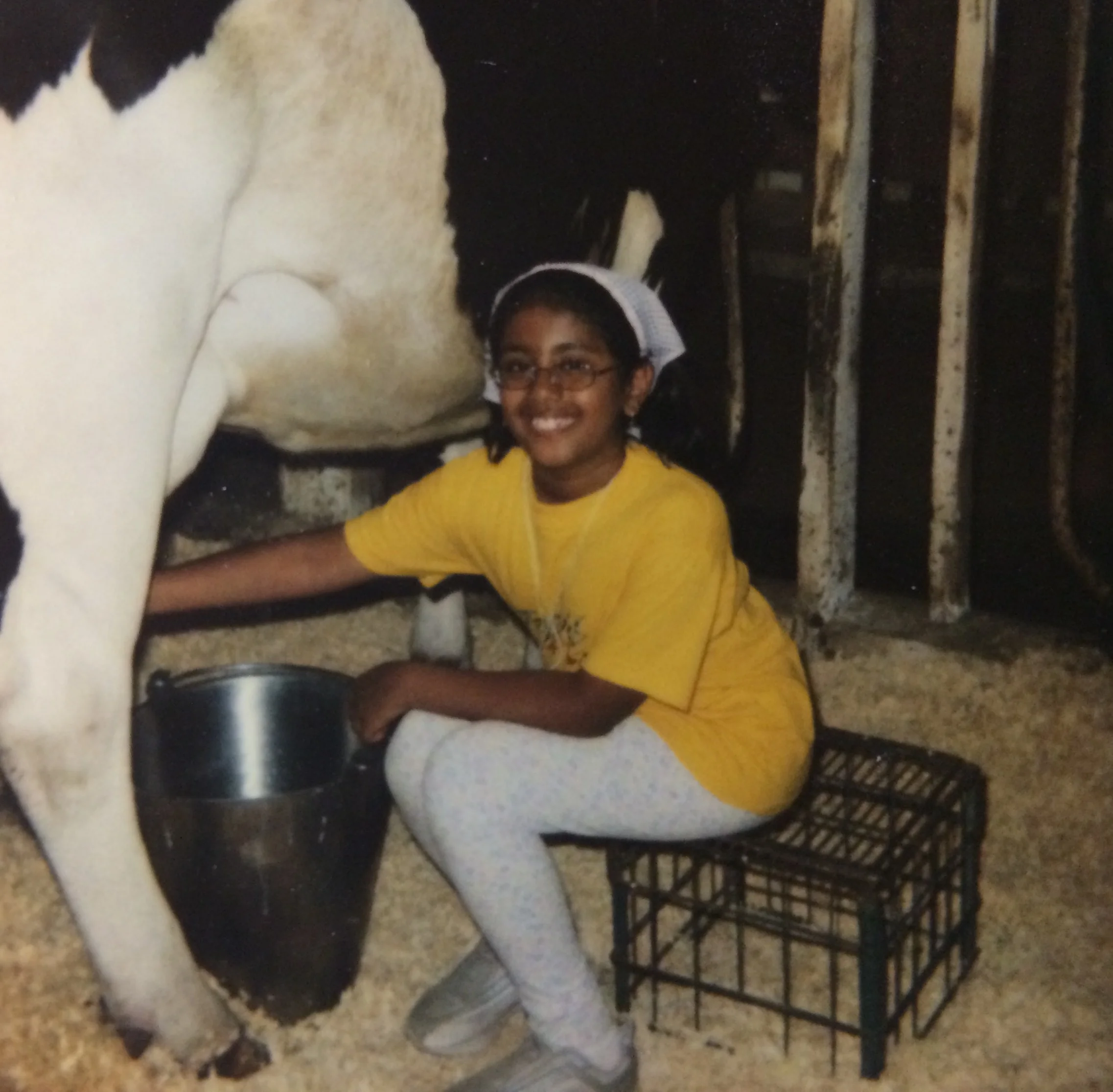 8 year-old Aparna milks a cow at farm camp. 