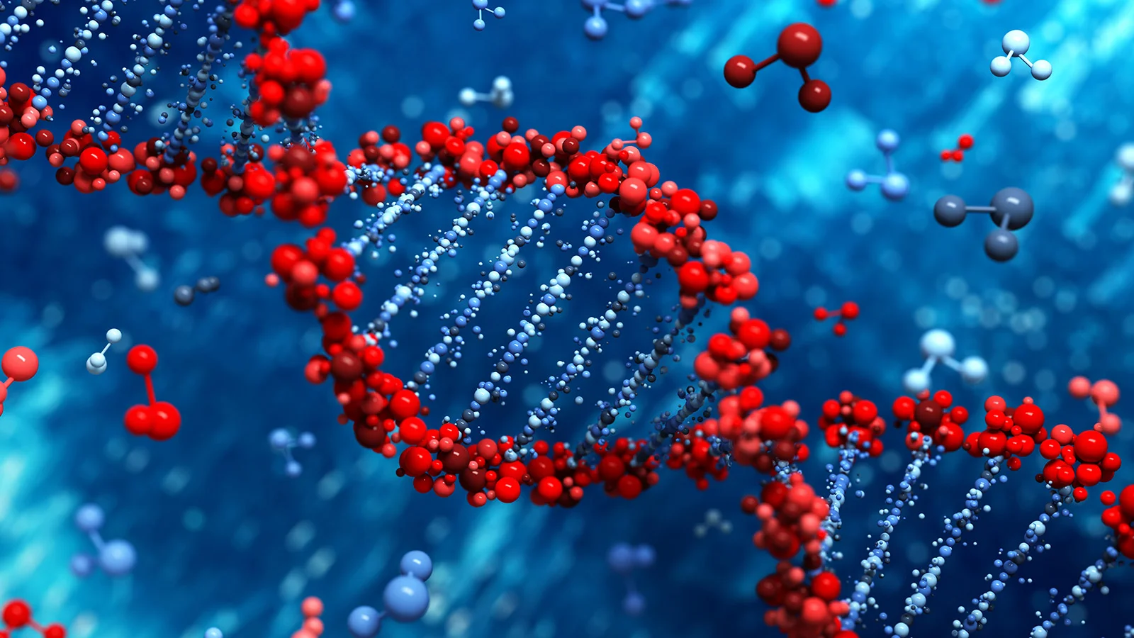 DNA Banner 3.jpg