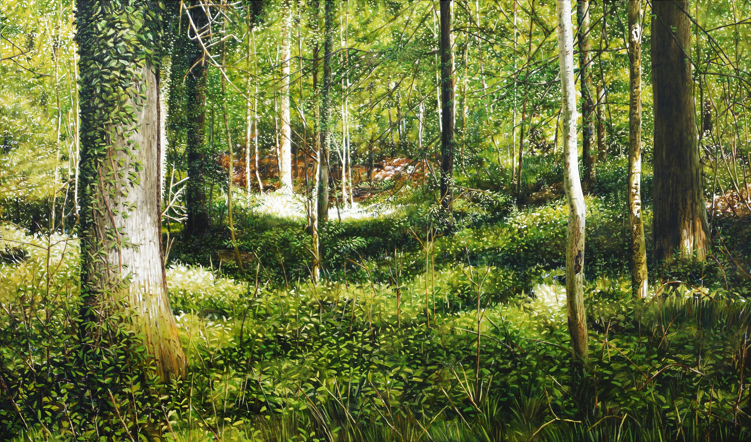 Bucheggberg Forest, Solothurn, Switzerland