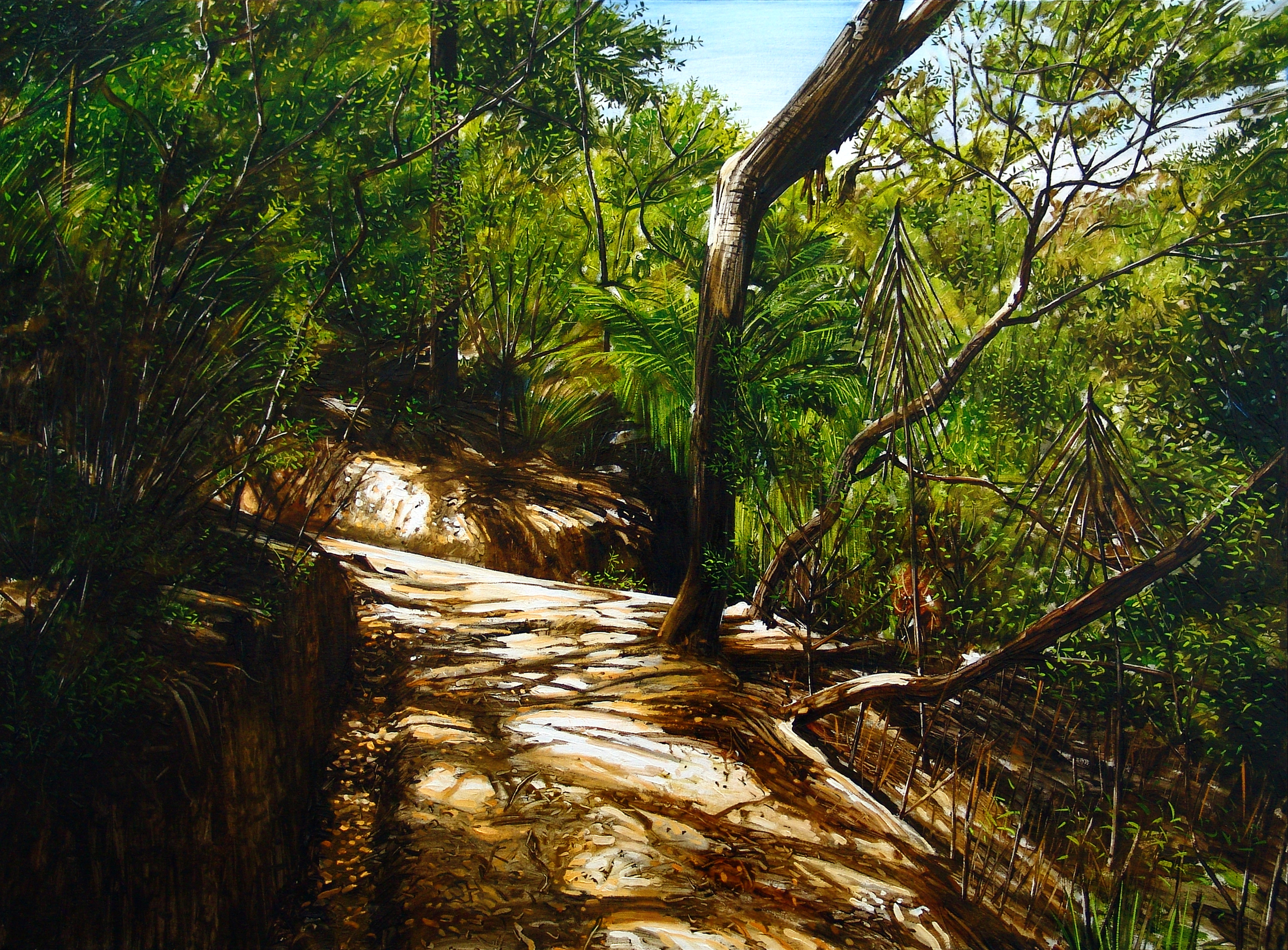 Abel Tasman National Park II