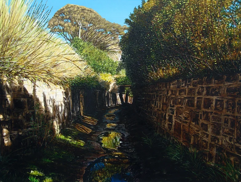 Old Water Course II, Ross Creek Reserve, Dunedin