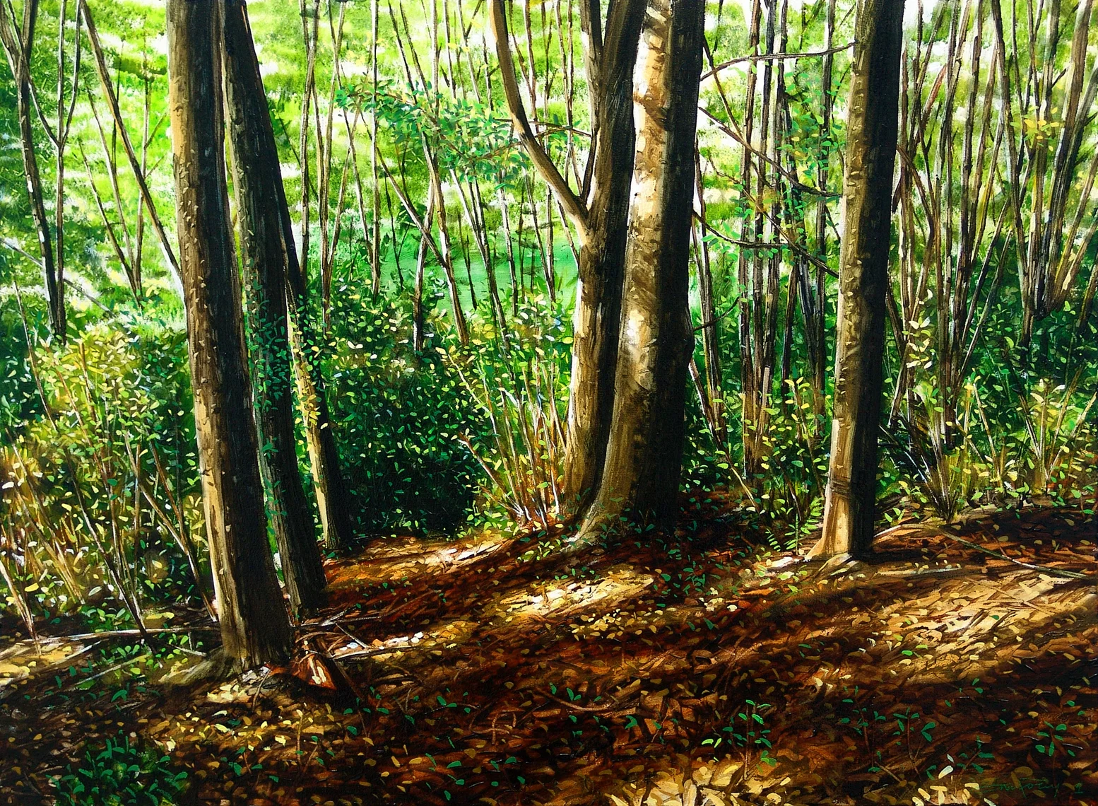 Chingford Park IV, Dunedin