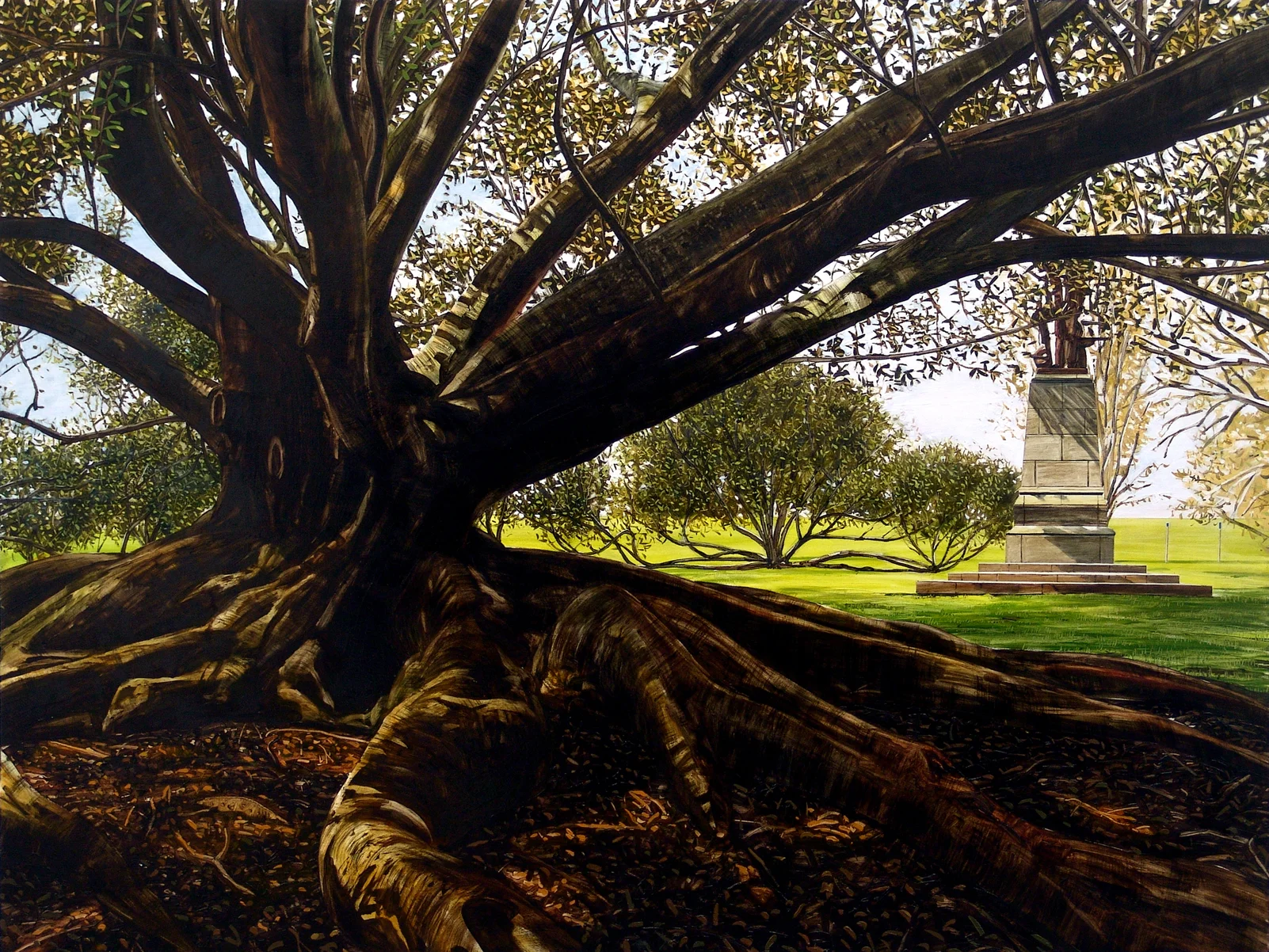 Moreton Bay Fig, Auckland Domain