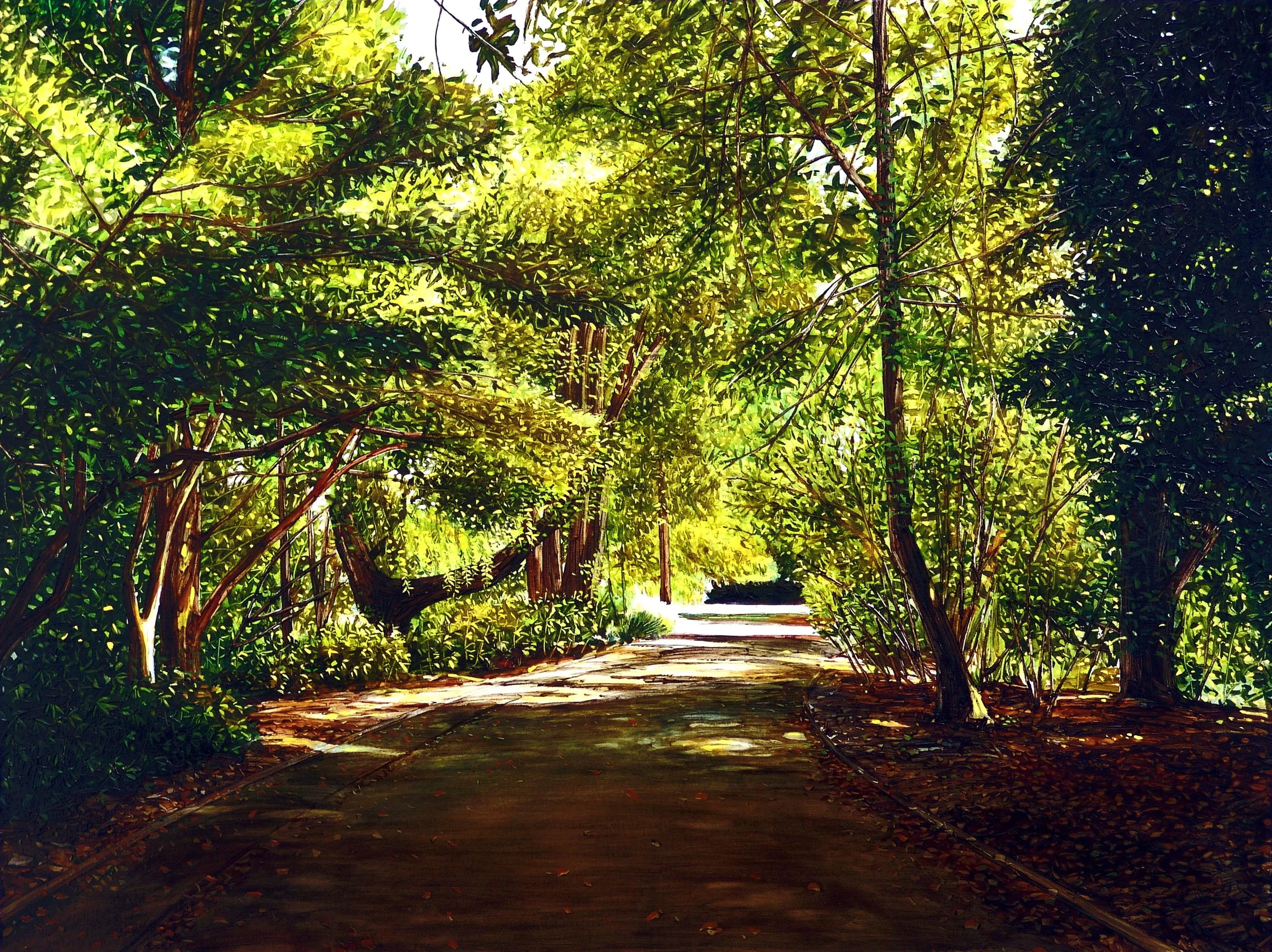 Ashburton Domain.jpg