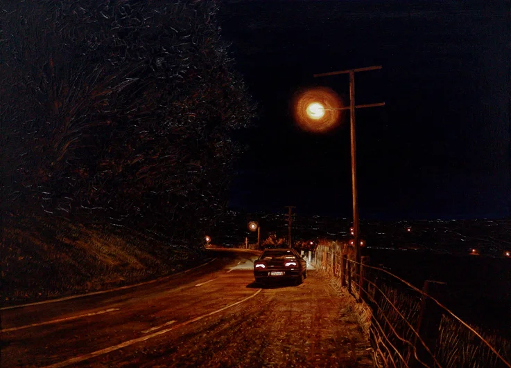 Old Mt Cargill Rd, Dunedin