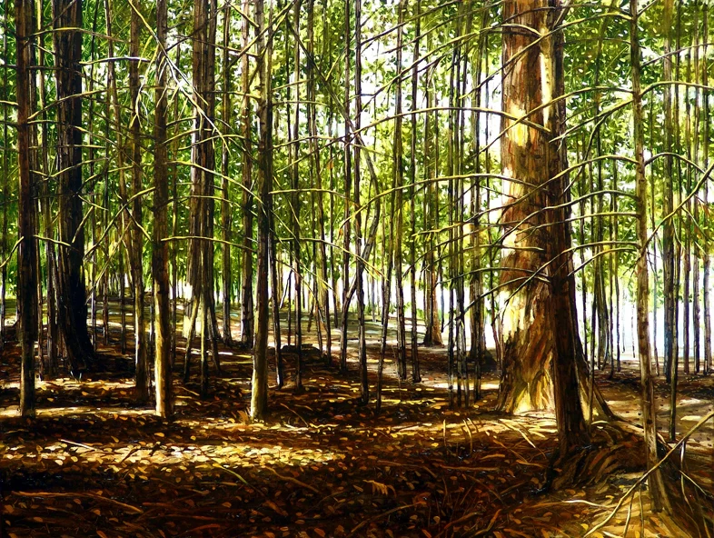 Pine Forest, Queenstown Botanics I 