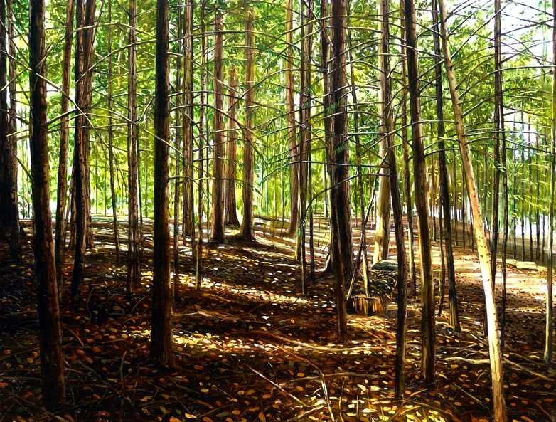 Pine Forest, Queenstown Botanics III 