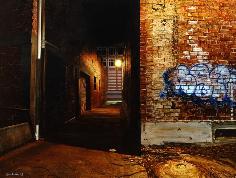 Alleyway off Filleul St, Dunedin