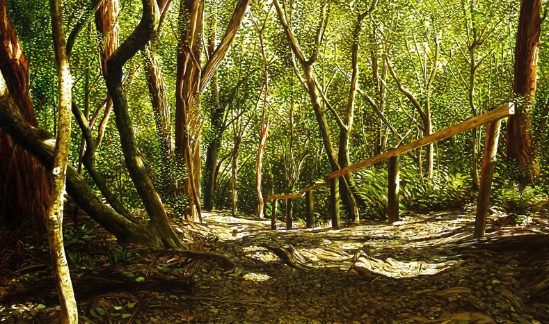 Stairs, Ross Creek Reserve