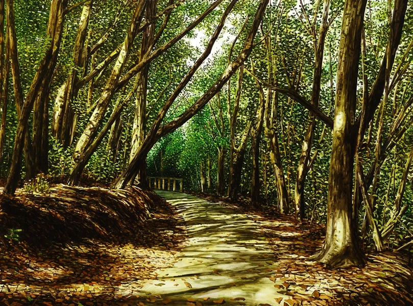 Track off Wallace St 