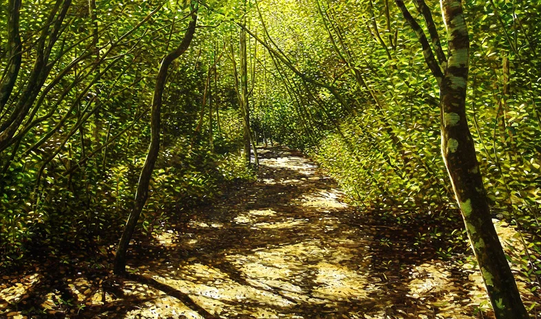 Track, Ross Creek Reserve 