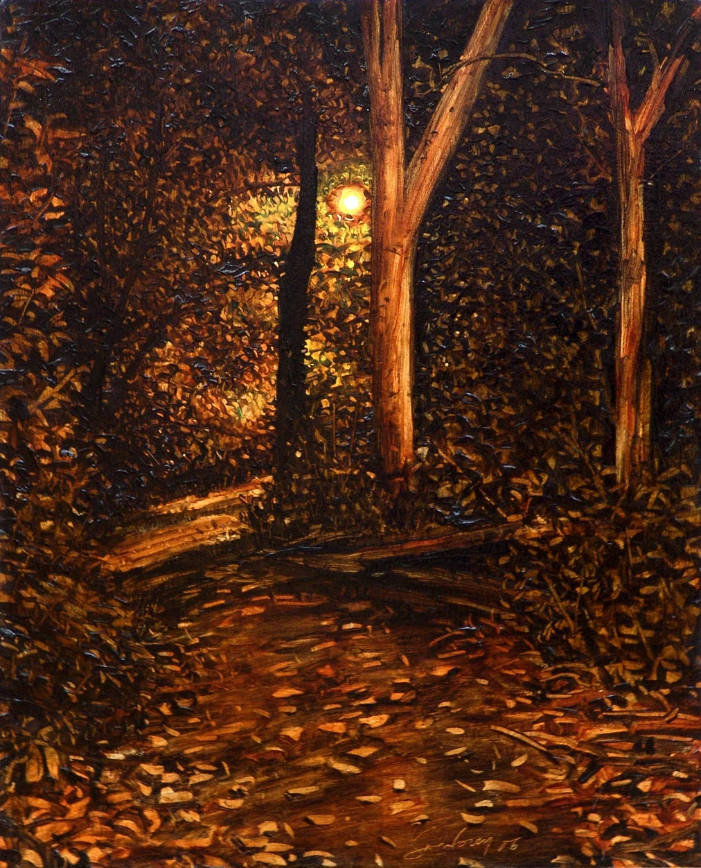 Path Down from Maori Road 