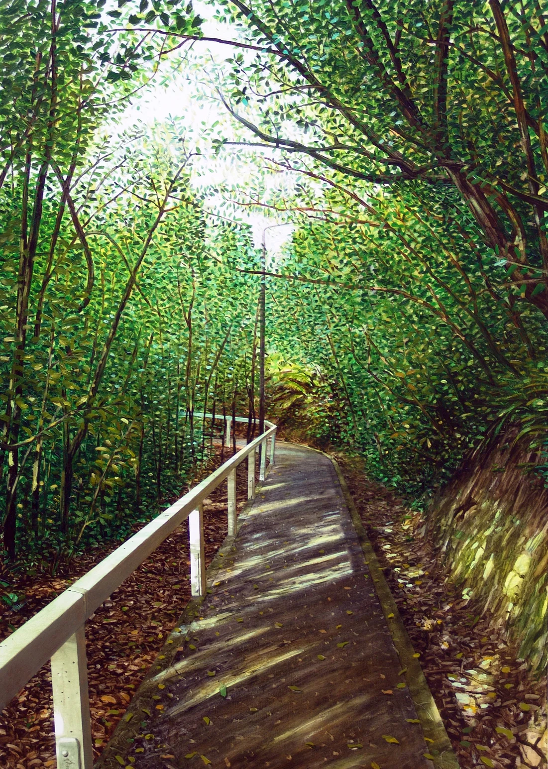 Path down from Queens Drive 
