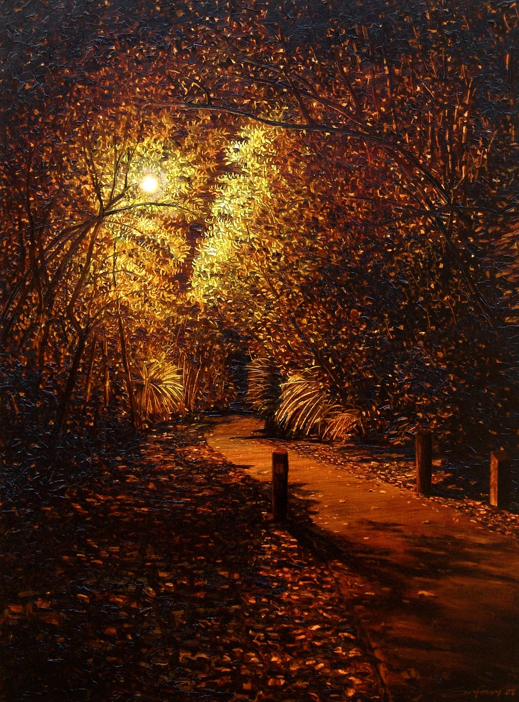 Top of the Path off Maori Road