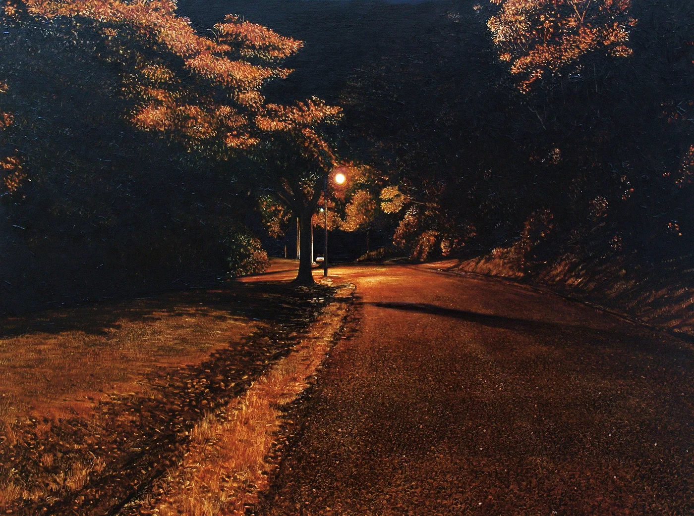 Queens Drive Between Rattray and Duncan Street 