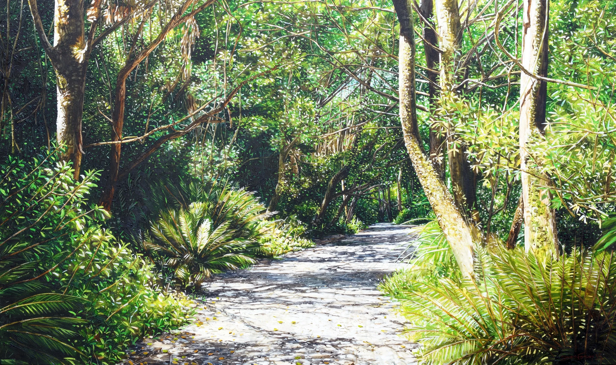 Main Track, Ross Creek Reserve