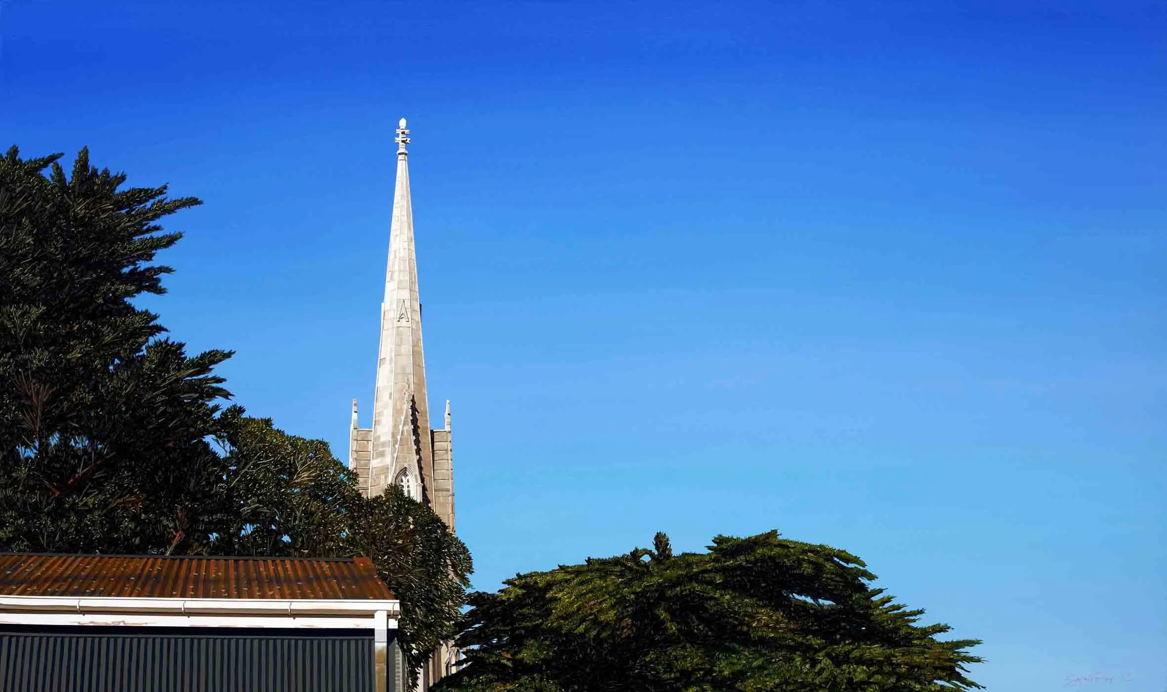 Macrocarpa with Church