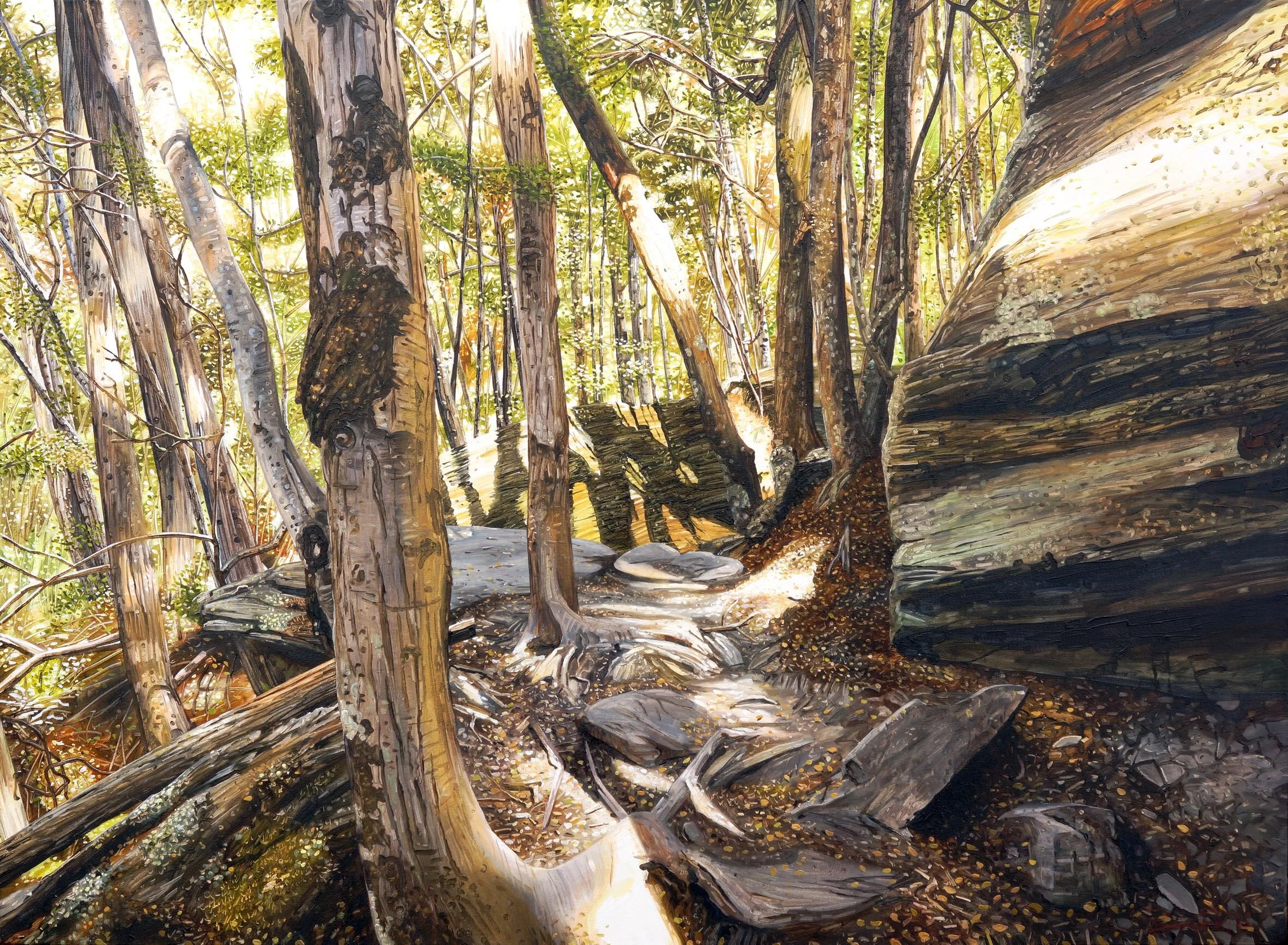 Tiki Trail II, Queenstown