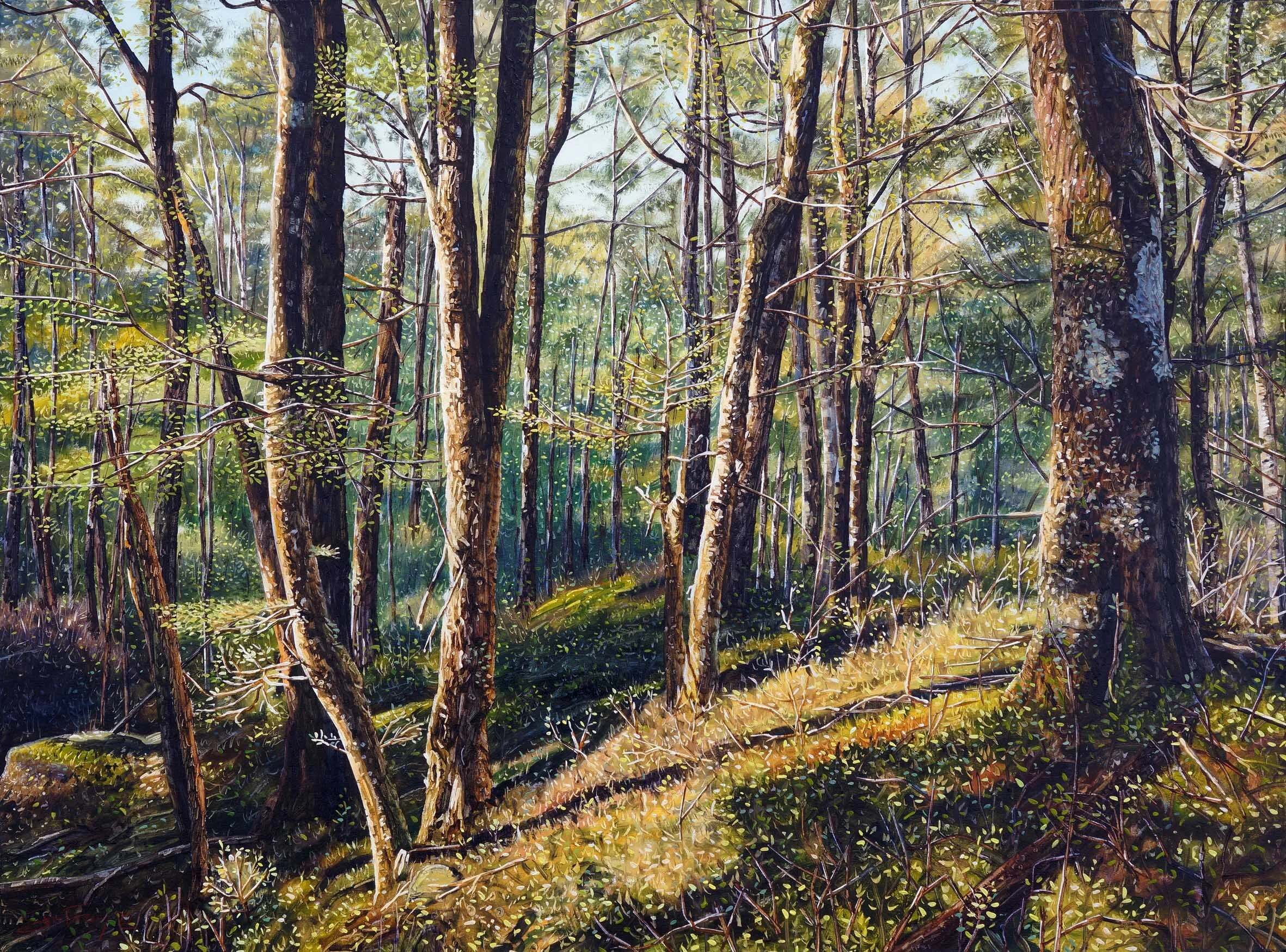 Routeburn Road Forest II