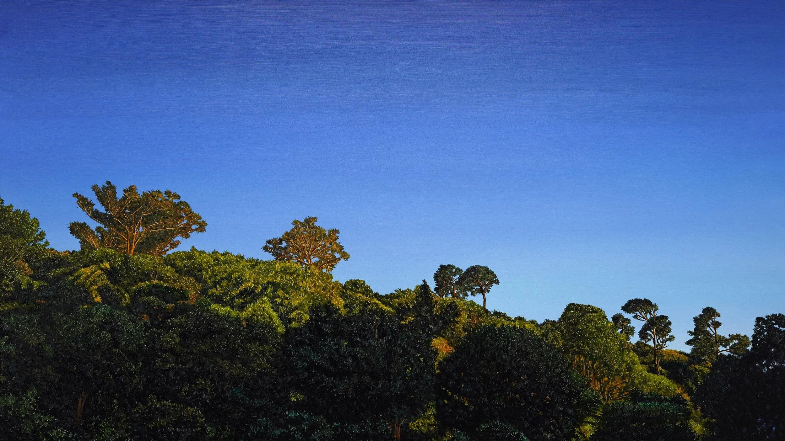 Last Light on the Upper Gardens