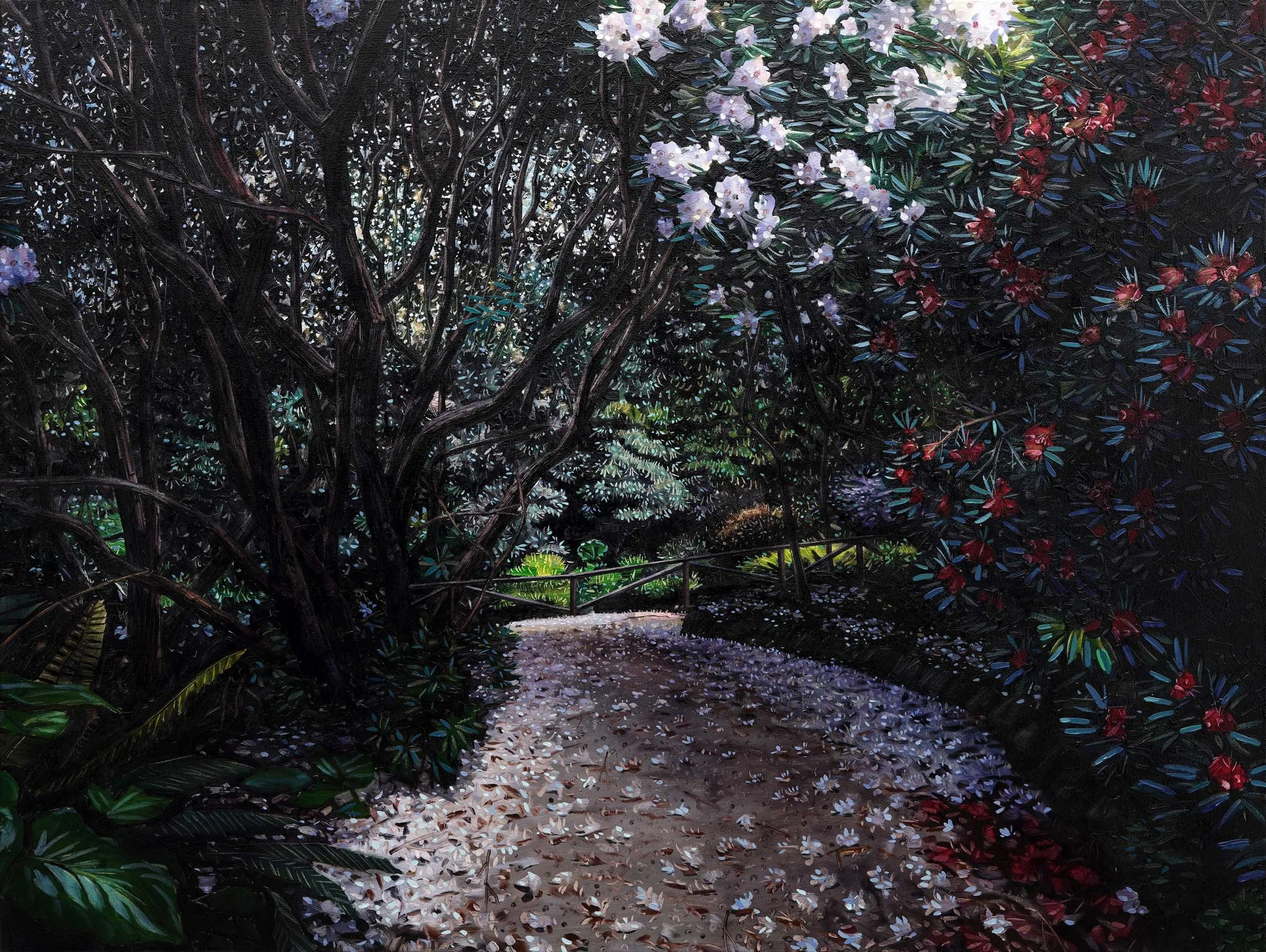 Last Light (The Christmas Special)