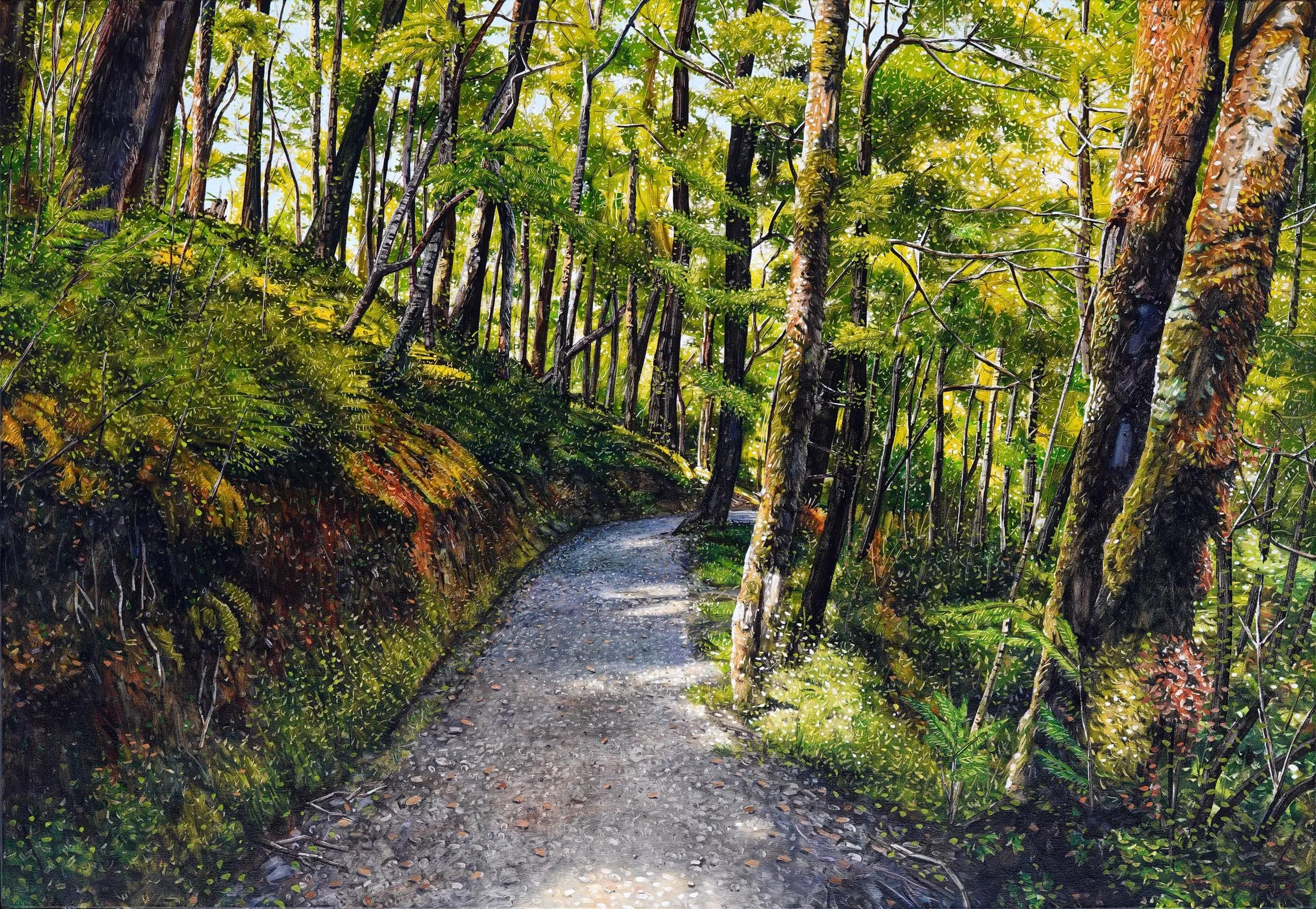 Summer Routeburn Loop Track