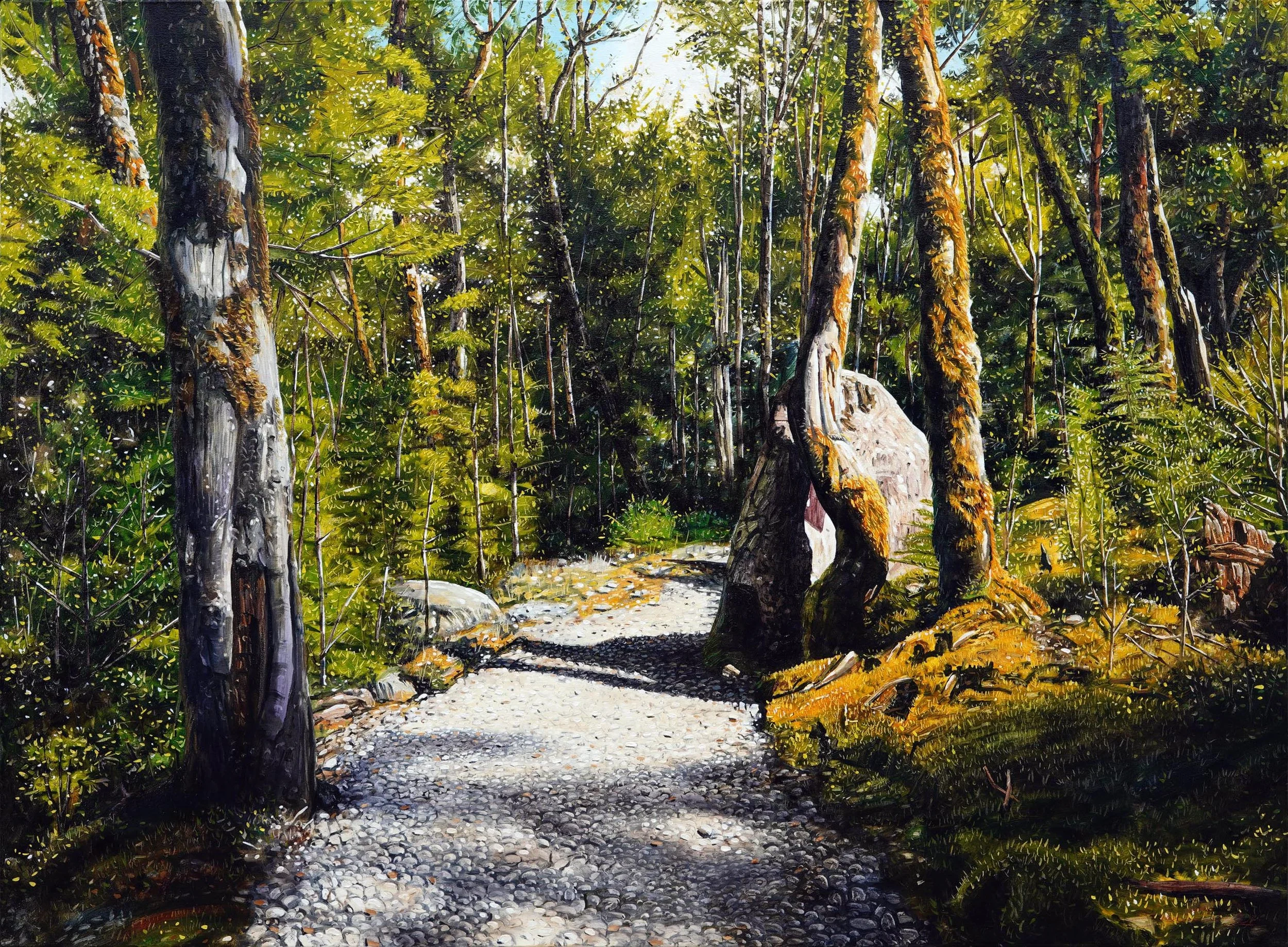 Summer Routeburn Loop Track II