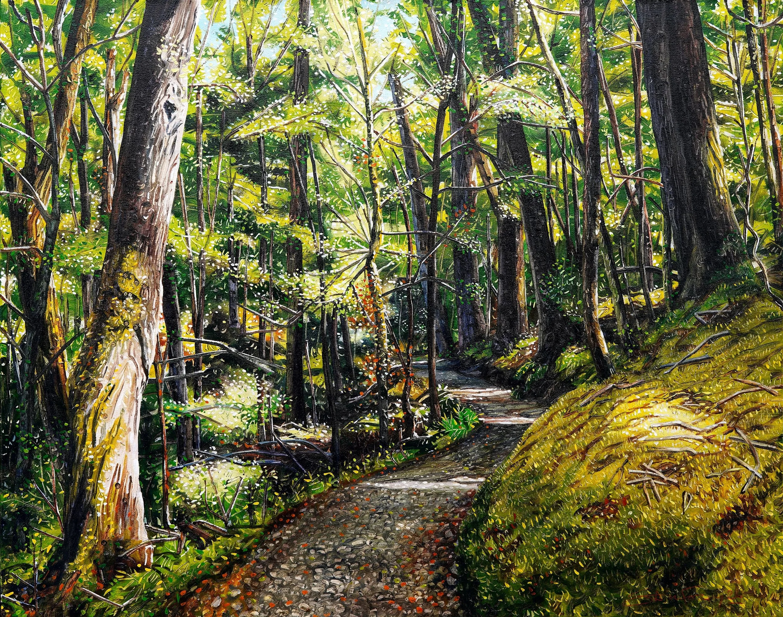 Summer Routeburn Loop Track V