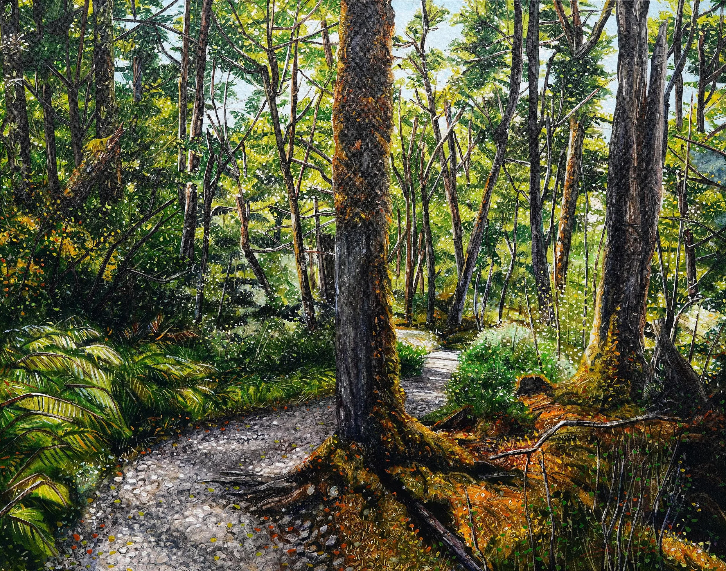 Summer Routeburn Loop Track VI