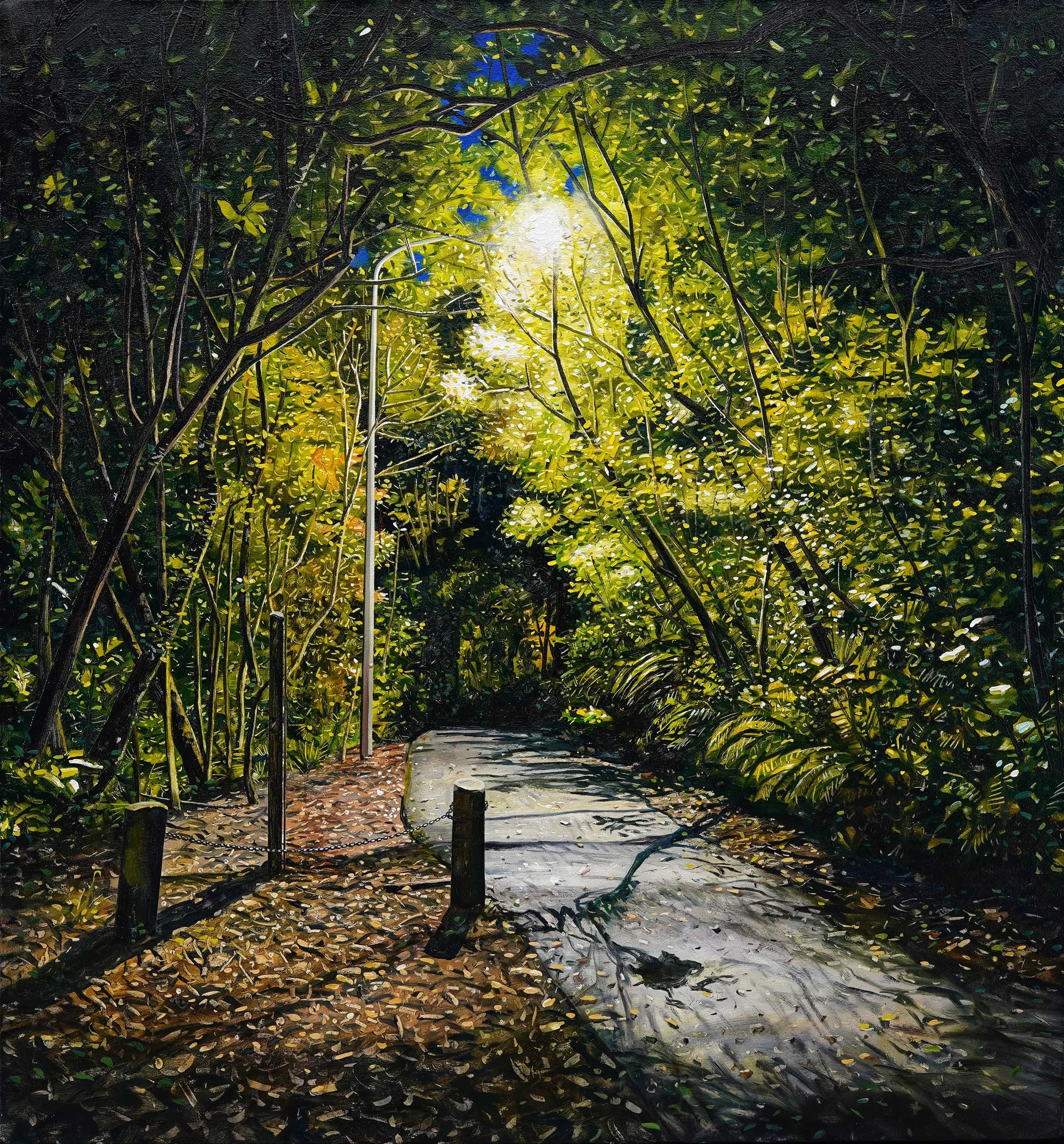 Path off Māori Road