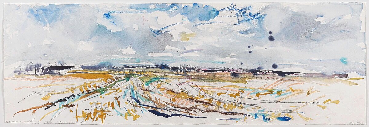    Peel Plain 10-March-20,  S from Old School Rd, E of Winston Churchill Blvd     2020 watercolour with pastel and graphite 13”x39” $2,400 