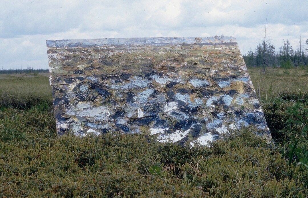  Work site: Mere Bleue Bog Conservation Area near Ottawa ON, 1983 