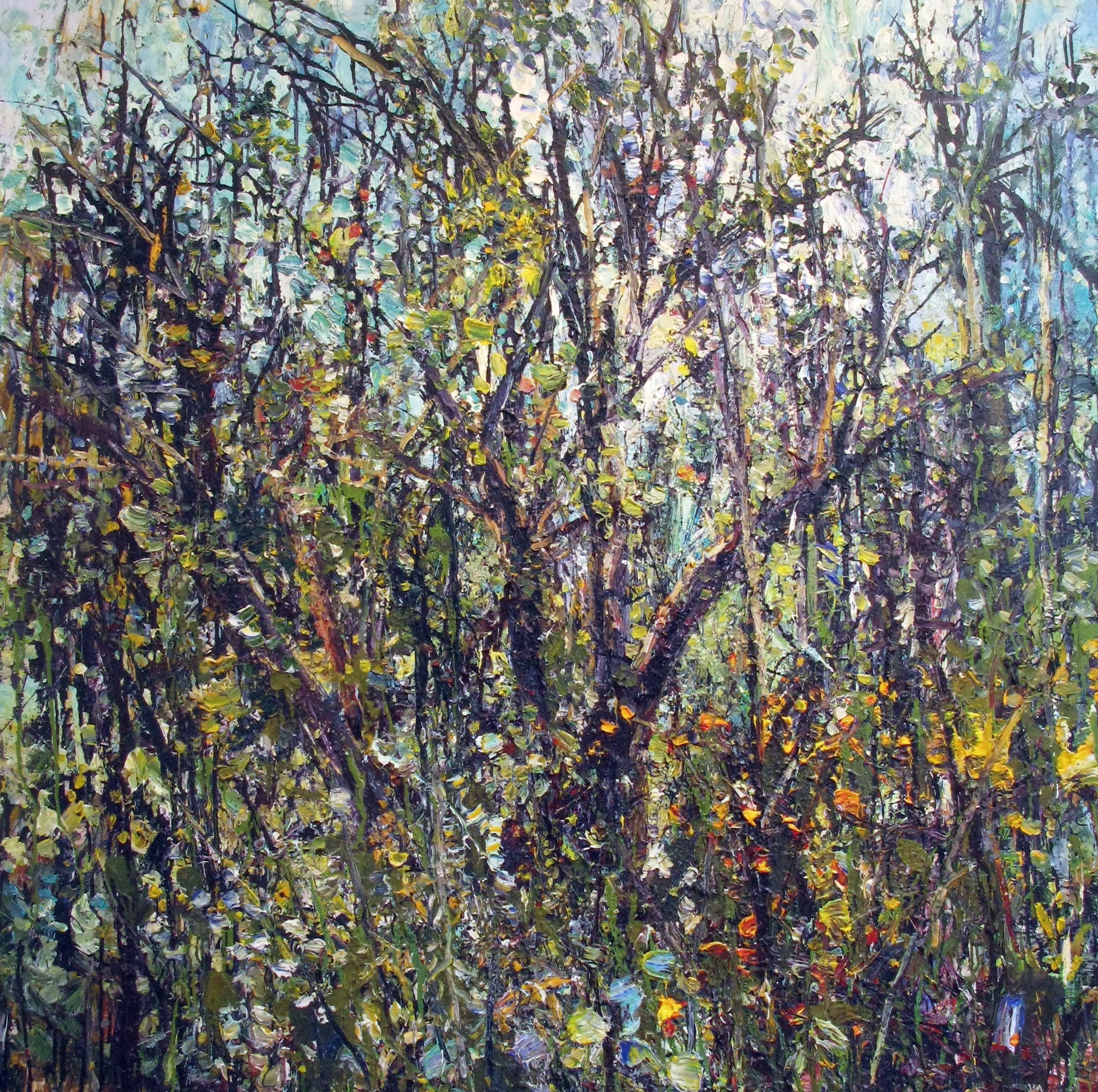   Ferals   These paintings are fractured, chaotic and dense, revelling in the vitality of their subjects. Apple trees were brought by the early settlers, but many trees escaped cultivation. The feral descendants of these now grow entangled in the cha