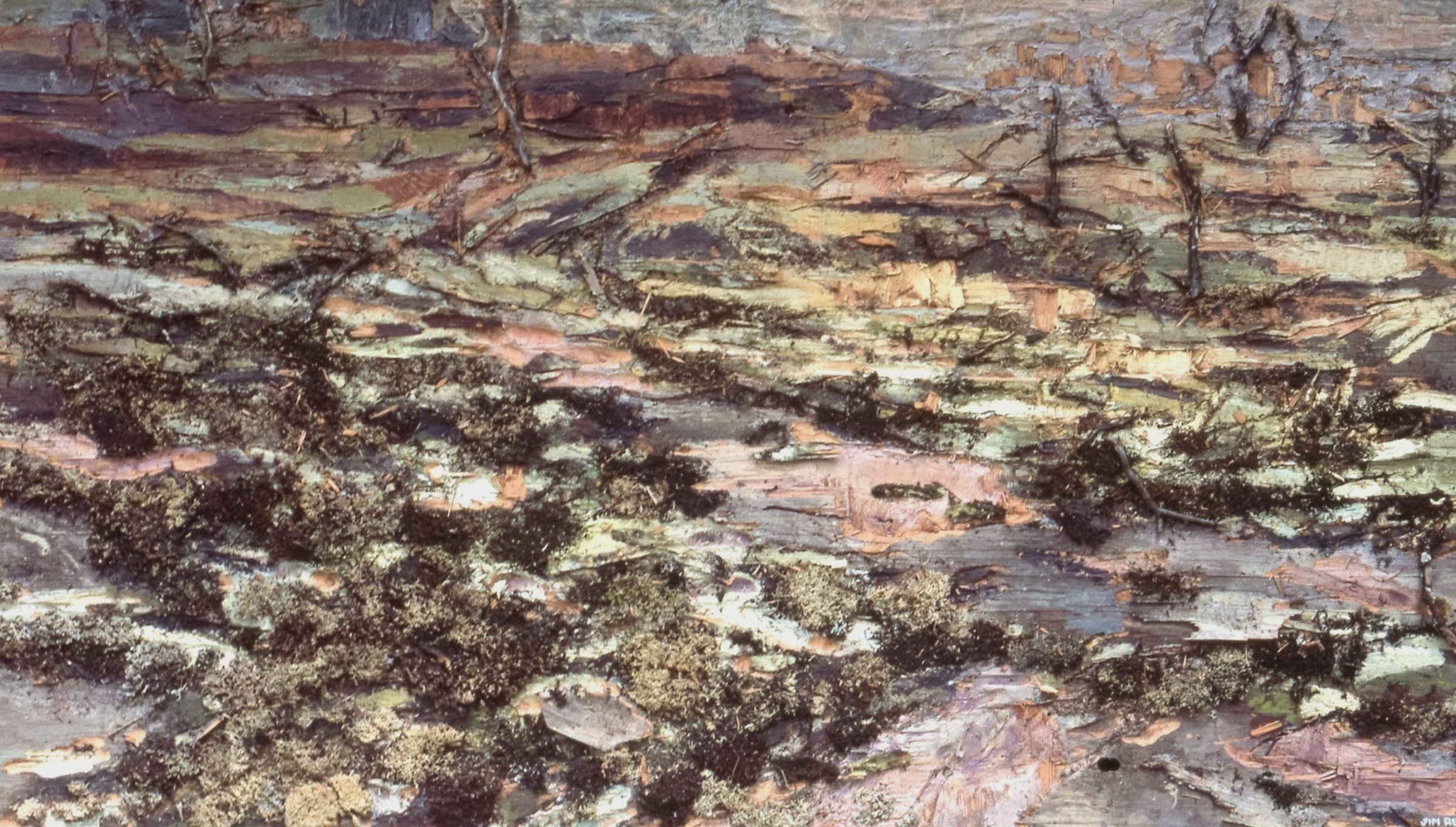    Torrance Barrens.    1984 acrylic, branches, lichens on plywood 48”x84” Private collection 