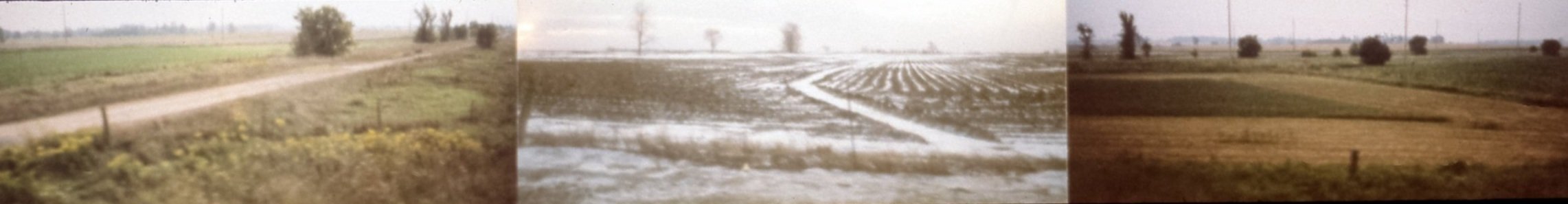   Marginal Lands   Marginal Lands is a photographic archive documenting my daily commute between Caledon and the Brampton GO train station, during the years 1999-2001. I used a low-tech panoramic camera and shot from a moving vehicle as I observed th