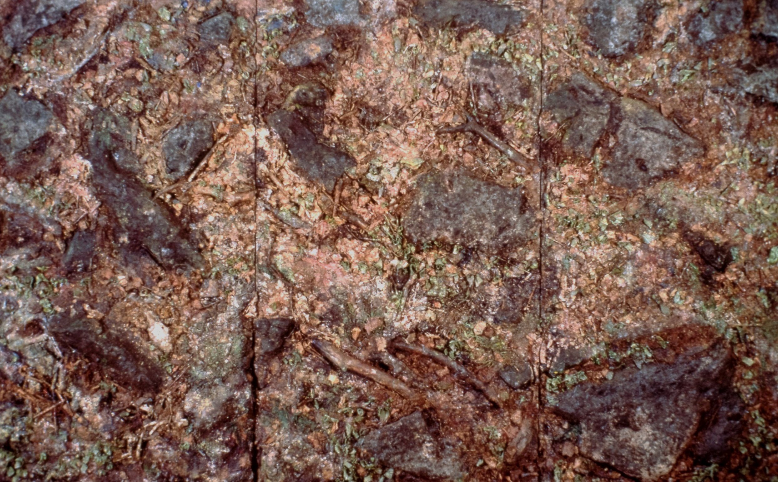    Landscape    1991 acrylic &amp; collage on plywood 86”x142” collection of MacLaren Art Centre, Barrie ON 